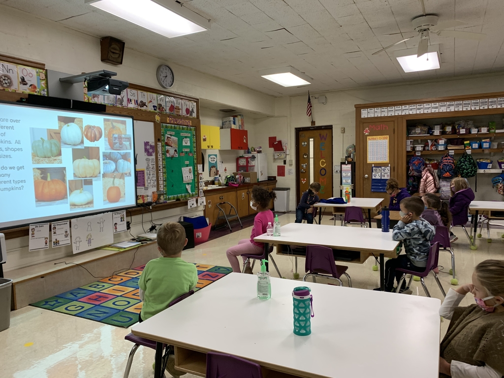 Kindergarten pumpkin lesson
