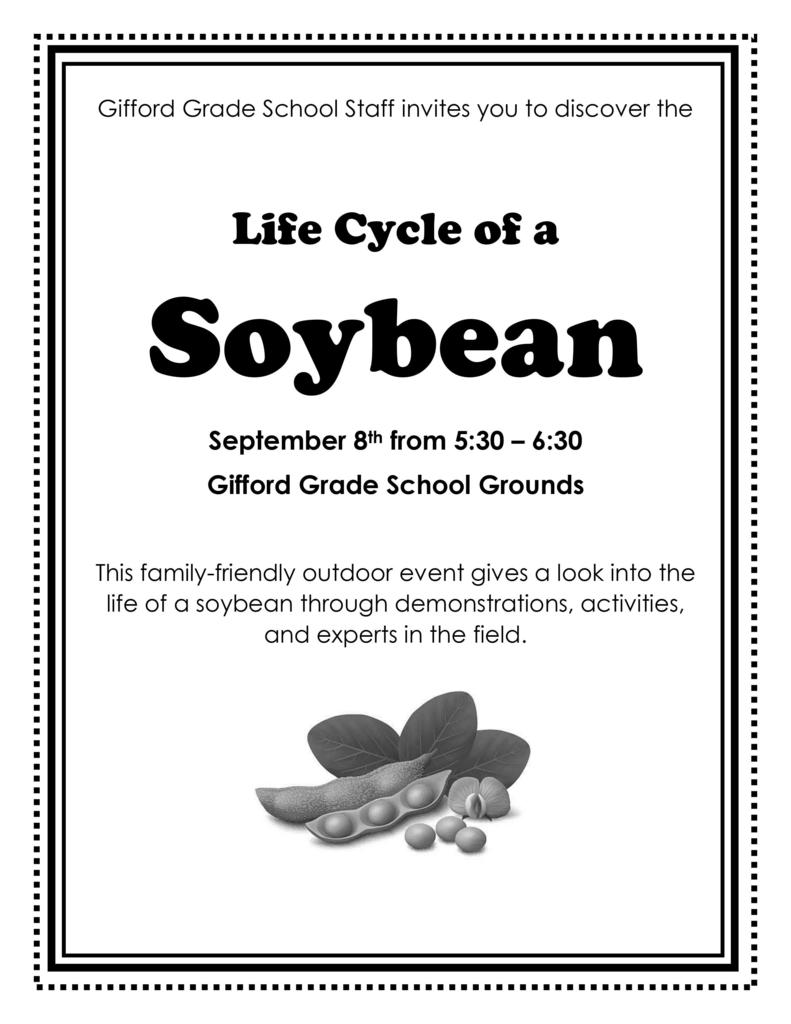Life Cycle of a Soybean 9/8 @ 5:30, GGS Grounds
